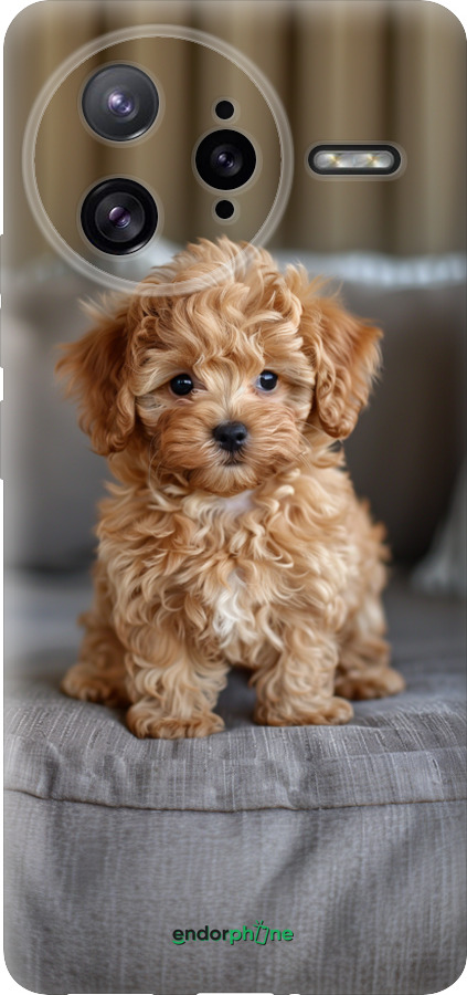 Силиконовый чехол Mini-maltipoo для Xiaomi Redmi K80 Pro - 6158u-4145 изображение 