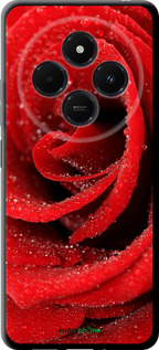 TPU чехол Красная роза для Xiaomi Redmi 14C - 529b-3768 изображение 