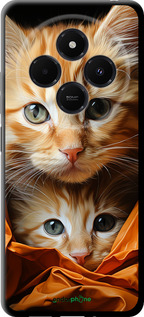 TPU чехол Котики 2 для Xiaomi Redmi 14C - 5664b-3768 изображение 