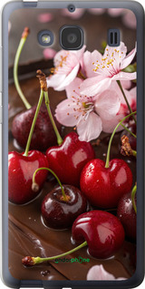 Силіконовий чехол Вишня у шоколаді для Xiaomi Redmi 2 - 6698u-98 изображение 