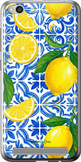 2D пластиковий чехол Grocery Girl Italian Summer для Xiaomi Redmi 5A - 6766t-1133 изображение 