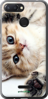 Силиконовый чехол Котик для Xiaomi Redmi 6 - 6024u-1521 изображение 
