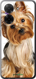 Силиконовый чехол Йоркширский терьер с хвостиком для Xiaomi Redmi A5 4G - 930u-3926 изображение 