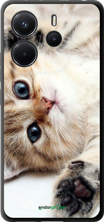 TPU чехол Котик для Xiaomi Redmi Note 14 4G - 6024b-3903 изображение 