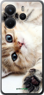Силиконовый чехол Котик для Xiaomi Redmi Note 14 4G - 6024u-3903 изображение 