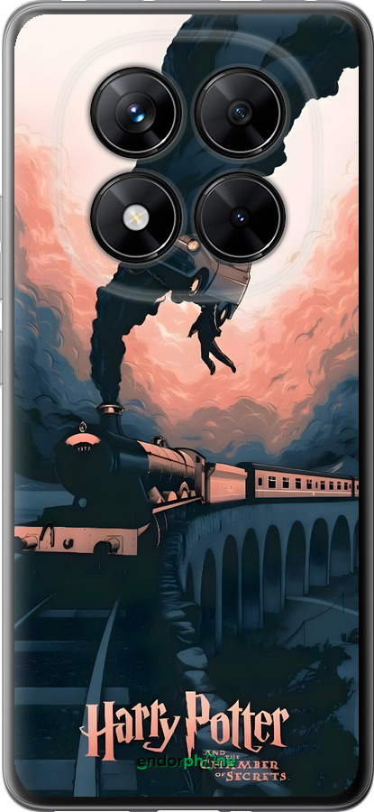 Силиконовый чехол Гарри Поттер для Xiaomi Poco X7 - 6331u-4011 изображение 