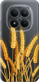 Силиконовый чехол Колоски пшеници для Xiaomi POCO M8 PRO - 5866u-6651 изображение 