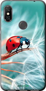 2D пластиковый чехол Божья коровка для Xiaomi Redmi Note 6 Pro - 6049t-1551 изображение 