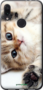 Силиконовый чехол Котик для Xiaomi Redmi Note 7 - 6024u-1639 изображение 