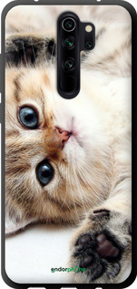 TPU чехол Котик для Xiaomi Redmi Note 8 Pro - 6024b-1783 изображение 