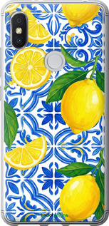 2D пластиковий чехол Grocery Girl Italian Summer для Xiaomi Redmi S2 - 6766t-1494 изображение 