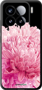 TPU чехол Хризантема для Xiaomi Xiaomi 15 - 4666b-3880 изображение 