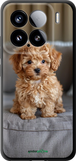 TPU чехол Mini-maltipoo для Xiaomi Xiaomi 15 - 6158b-3880 изображение 