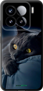 TPU чехол Дымчатый кот для Xiaomi Xiaomi 15 - 825b-3880 изображение 