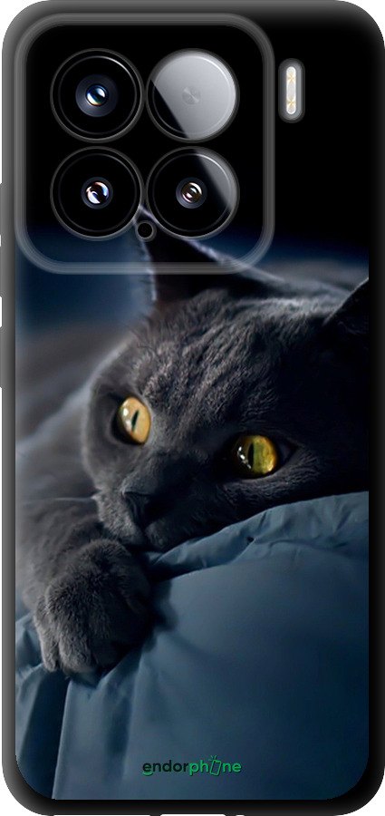 TPU чехол Дымчатый кот для Xiaomi Xiaomi 15 - 825b-3880 изображение 