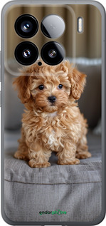 Силіконовий чехол Mini-maltipoo для Xiaomi Xiaomi 15 - 6158u-3880 изображение 