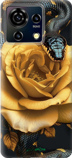 Силиконовый чехол Black snake and golden rose для ZTE Blade V50 Vita - 6068u-3813 изображение 