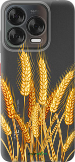 Силіконовий чехол Колоски пшениці для ZTE Nubia V70 Design - 5866u-4084 изображение 
