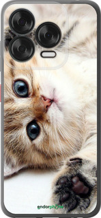 Силиконовый чехол Котик для ZTE Nubia V70 Design - 6024u-4084 изображение 