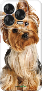 Силіконовий чехол Йоркширський тер'єр із хвостиком для ZTE Nubia V70 Design - 930u-4084 изображение 