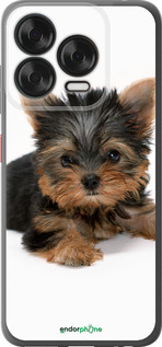 Силиконовый чехол Щенок йоркширского терьера для ZTE Nubia V70 Design - 931u-4084 изображение 