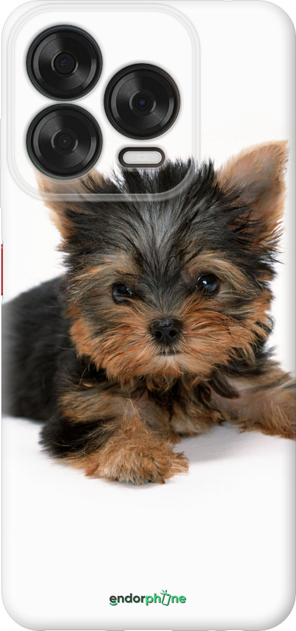 Силиконовый чехол Щенок йоркширского терьера для ZTE Nubia V70 Design - 931u-4084 изображение 