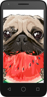 Силиконовый чехол Мопс и арбуз для Alcatel One Touch Pixi 3 4.5 - 4665u-408 изображение 