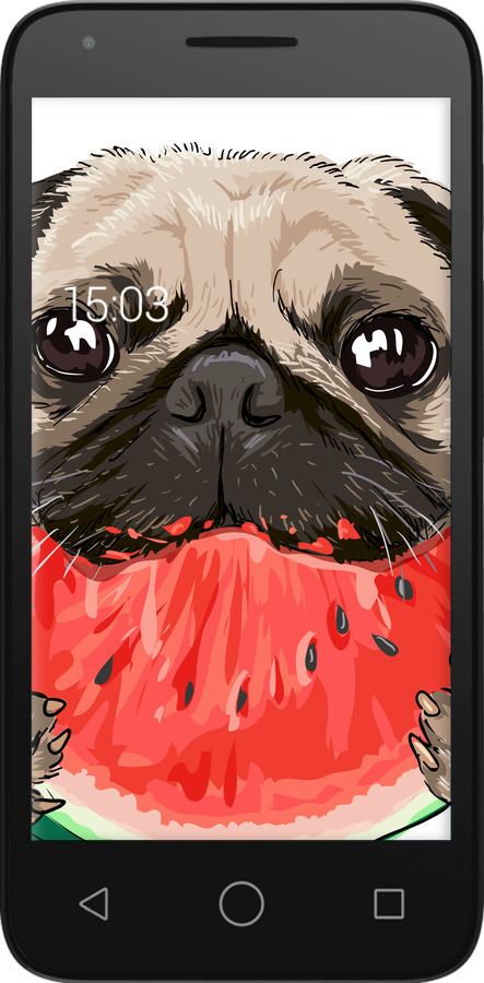 Силиконовый чехол Мопс и арбуз для Alcatel One Touch Pixi 3 4.5 - 4665u-408 изображение 