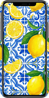 3D пластиковий глянцевий чехол Grocery Girl Italian Summer для Apple iPhone 11 Pro Max - 6766c-1723 изображение 