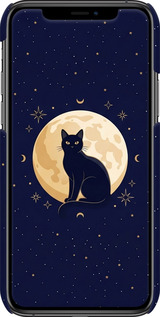 3D пластиковый глянцевый чехол Cute Cat Celestial/Witchy для Apple iPhone 11 Pro Max - 6787c-1723 изображение 