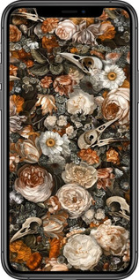 2D пластиковый чехол В стиле барокко-мрачный для Apple iPhone 11 Pro Max - 6404t-1723 изображение 