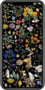 2D пластиковий чехол З квітами для Apple iPhone 11 Pro - 6422t-1788 изображение 
