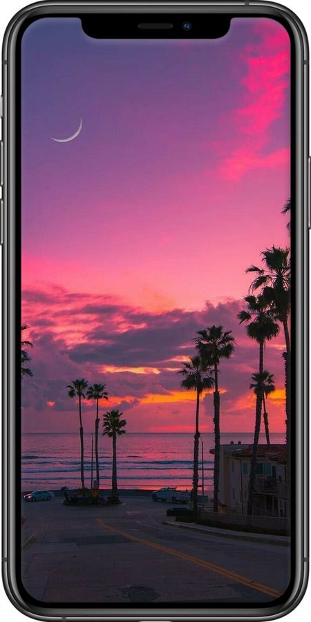 2D пластиковий чехол Пальми для Apple iPhone 11 Pro - 5873t-1788 изображение 
