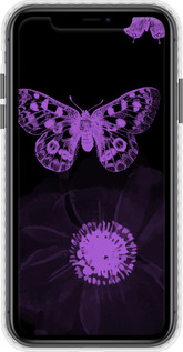 Чехол Bumper чехол Нежность для Apple iPhone 11 - 5906pc-1722 изображение 