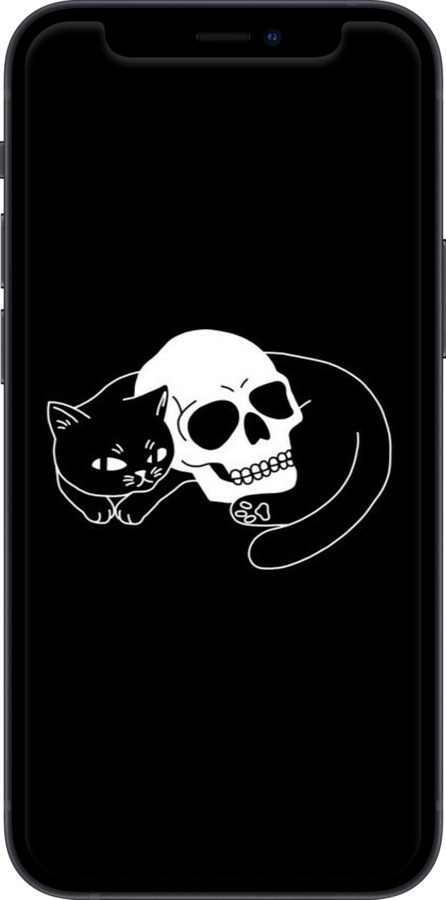 TPU чехол С изображением кота и черепа для Apple iPhone 12 Mini - 6491b-2071 изображение 