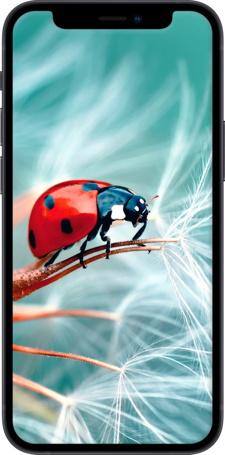 Силіконовий чехол Сонечко для Apple iPhone 12 Mini - 6049u-2071 изображение 