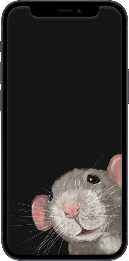 2D пластиковый чехол The Peeking Rat для Apple iPhone 12 Mini - 6442t-2071 изображение 
