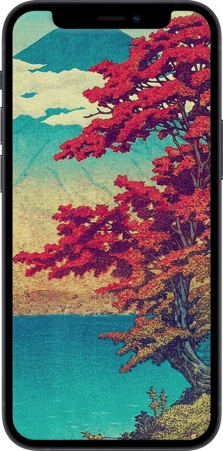 2D пластиковый чехол С изображением природы для Apple iPhone 12 Mini - 6469t-2071 изображение 