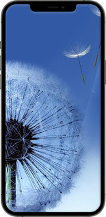 TPU чехол Одуванчик для Apple iPhone 12 Pro Max - 6005b-2054 изображение 
