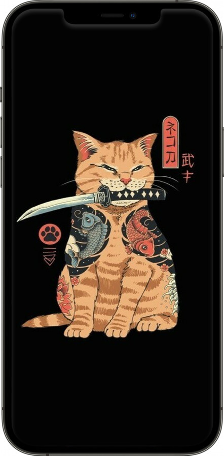TPU чехол Catana для Apple iPhone 12 Pro Max - 6262b-2054 изображение 