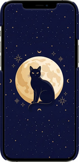 3D пластиковый матовый чехол Cute Cat Celestial/Witchy для Apple iPhone 12 Pro Max - 6787m-2054 изображение 