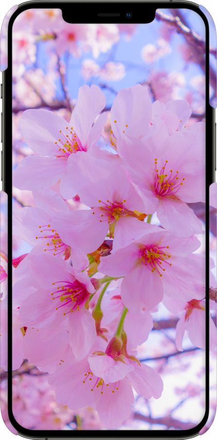 3D пластиковий матовий чехол Сакура для Apple iPhone 12 Pro Max - 6029m-2054 изображение 