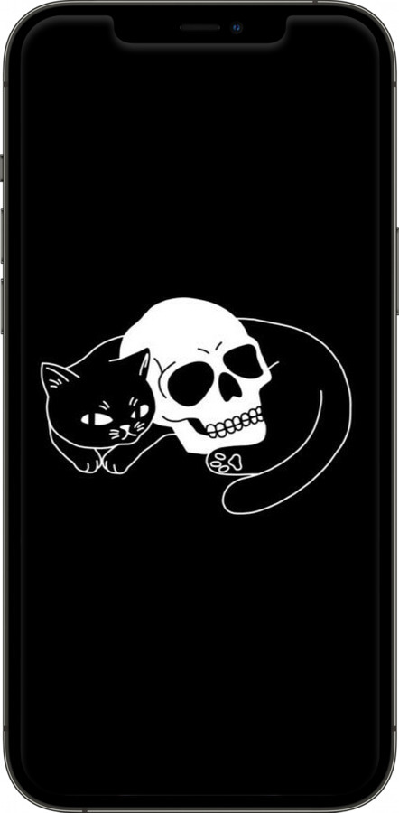 2D пластиковый чехол С изображением кота и черепа для Apple iPhone 12 Pro Max - 6491t-2054 изображение 