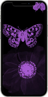 TPU чехол Нежность для Apple iPhone 12 - 5906b-2053 изображение 