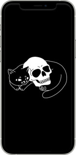 2D пластиковый чехол С изображением кота и черепа для Apple iPhone 12 - 6491t-2053 изображение 