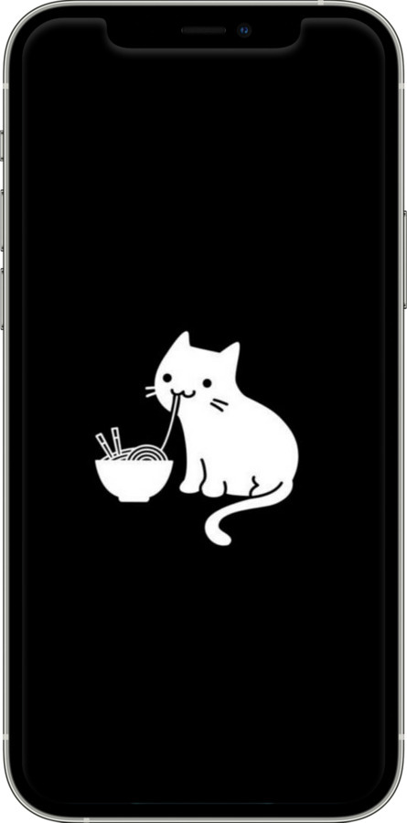 2D пластиковый чехол С милым котом на черном фоне для Apple iPhone 12 - 6528t-2053 изображение 