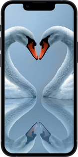 TPU чехол Лебеди для Apple iPhone 13 Mini - 6007b-2373 изображение 