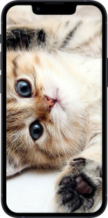 2D пластиковый чехол Котик для Apple iPhone 13 Mini - 6024t-2373 изображение 