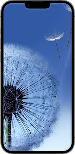 TPU чехол Кульбабка для Apple iPhone 13 Pro Max - 6005b-2371 изображение 