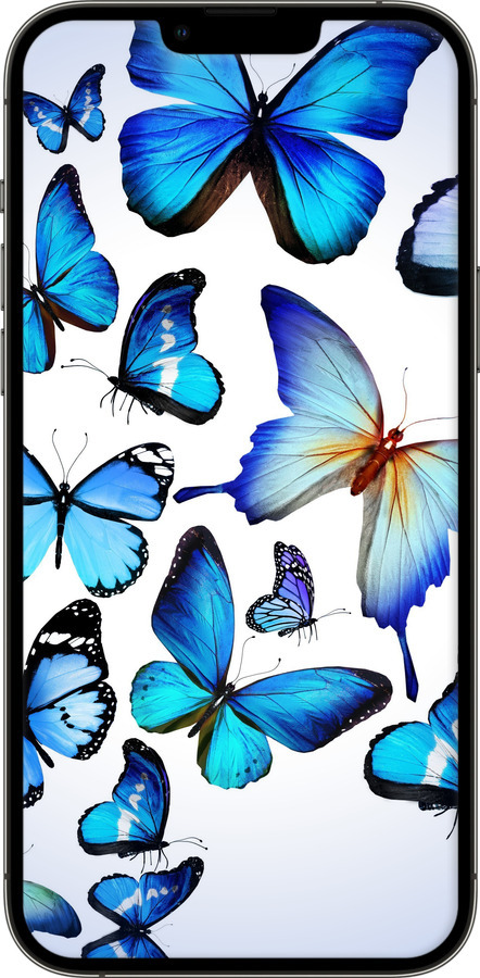 TPU чехол Бабочки для Apple iPhone 13 Pro Max - 6023b-2371 изображение 